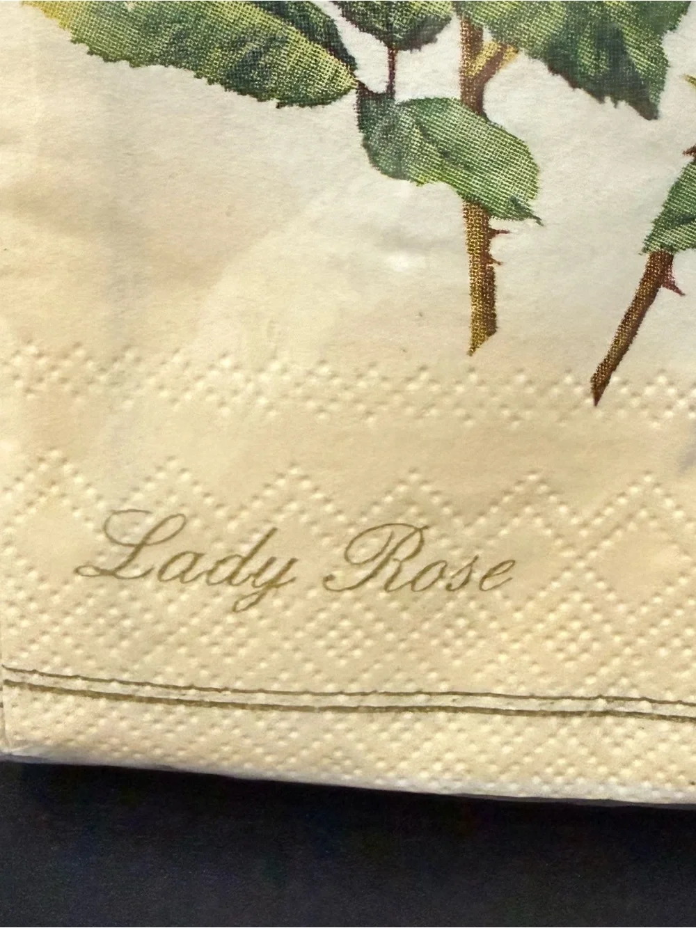 Ideal Home Range Lady Rose by P.J. Redoute Flower 16pc 3-ply Napkins Decoupage